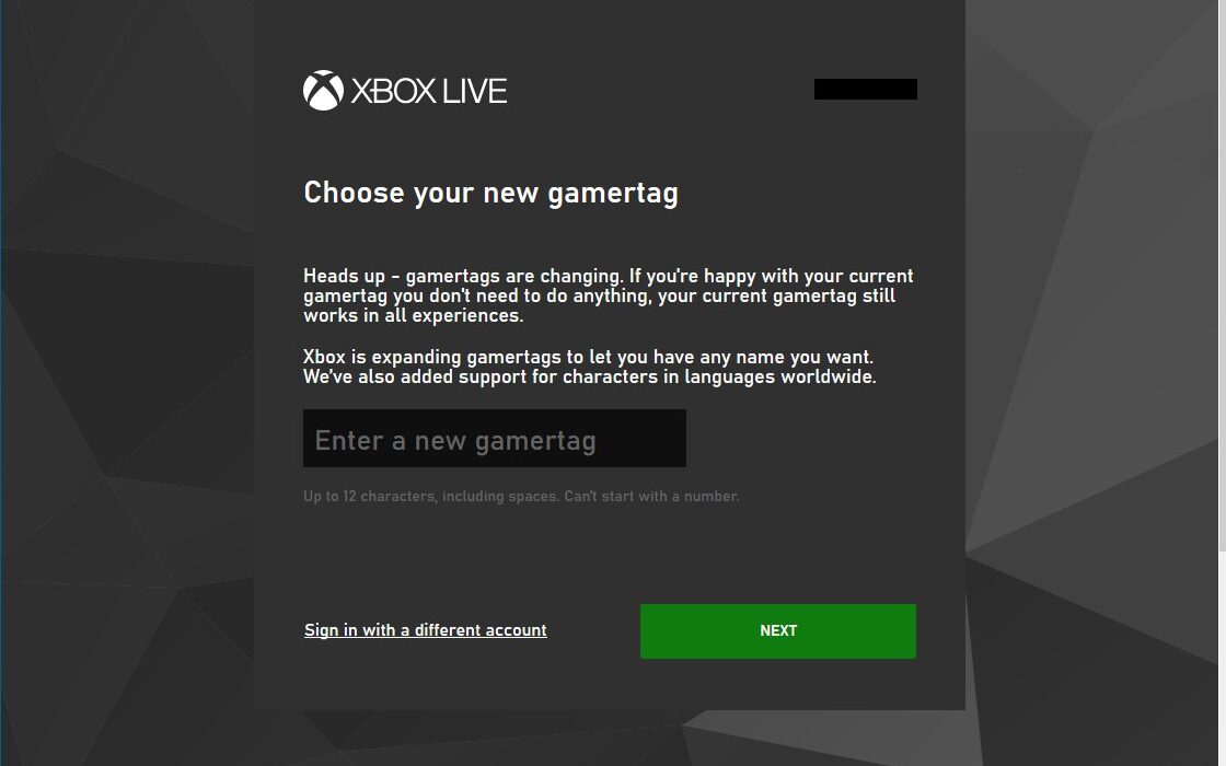 Step 4: Enter Your Desired Gamertag